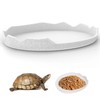 PAVIKE Reptile Water Dish for Reptile Feeding Dish Amphibian Drinking