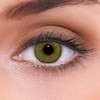 LENZOTICA Classic Braun, -0.75 Dioptrien, DIA 14.00, Monatslinsen, 2 Stück