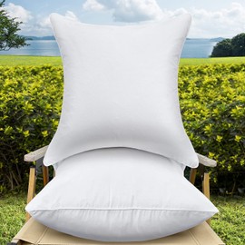 QSWRD 20 x 20 Pillow Inserts Set of 2 Outdoor Pillow Inserts Waterproof Square Premium Throw Pillow Inserts Decorative Couch Pillow Inserts White Sofa Pillows Indoor