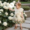 Douhoow Baby Girl Dress Romper Baby Romper Dress Flowers Embroidery