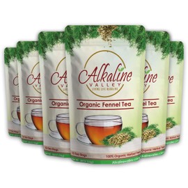 Fennel Tea Organic -15 Unbleached/Chemical-Free Fennel Tea Bags - (Pack of 6) - Caffeine-Free, No GMO