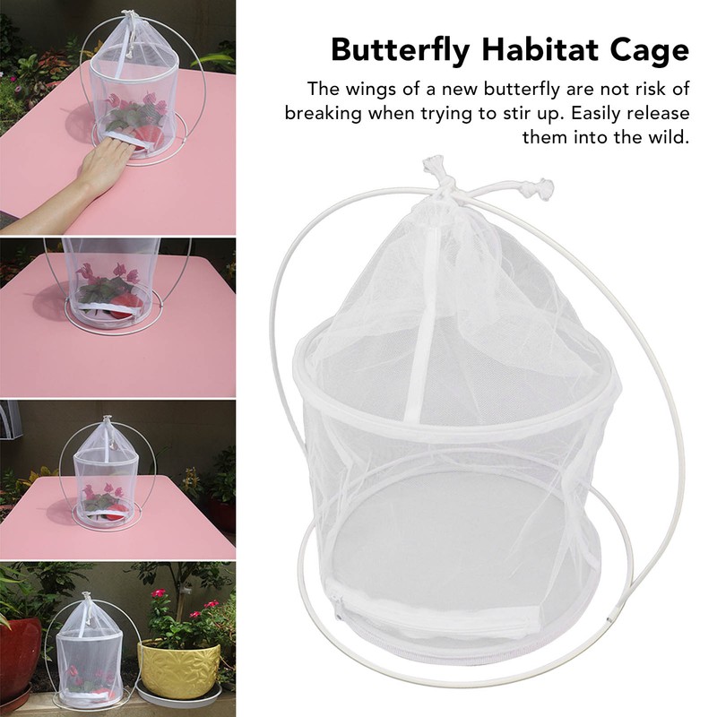Cylindrical Iron Frame Hanging Cage Butterfly Habitat Cage Ornamental Outdoor