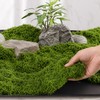36ft Artificial Moss for DIY Crafts – Realistic Green Polyester
