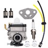 Hippotech 16100-ZM5-803 Carburetor with Fuel Line Kit for Honda 4