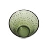 iittala Castehermi Tumbler, 10.1 fl oz (300 ml), Moss Green,