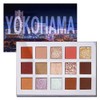 FOCALLURE FA100 'GO TRAVEL' 15 Color Eye Shadow Palette, Powder