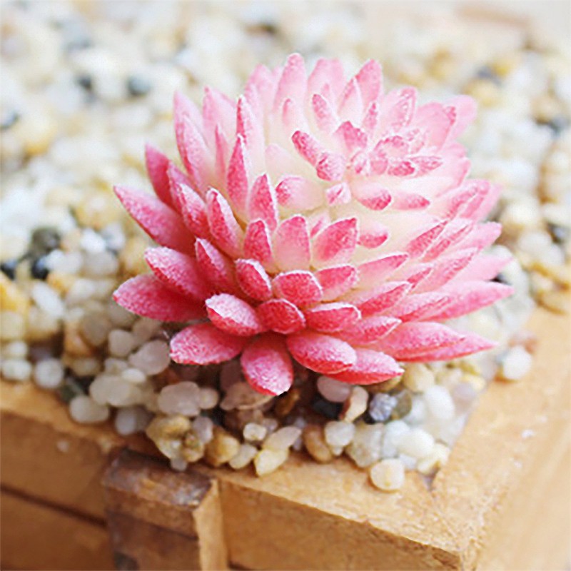 BCP 4 Pcs Artificial Mini Succulents Cactus Plant Flower DIY