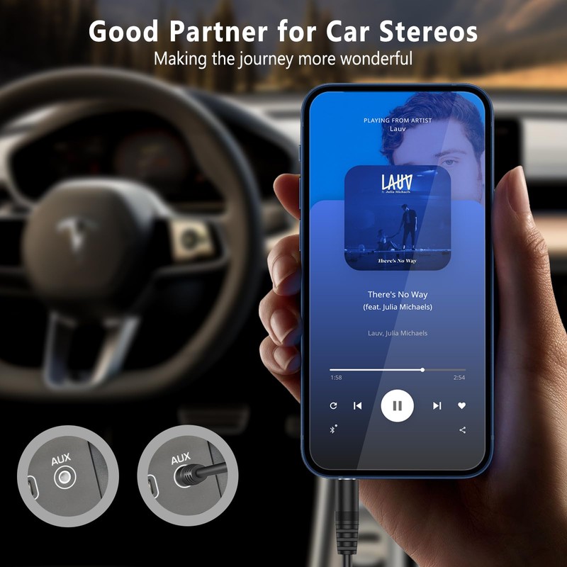 Amzpas 3.5 mm Aux Cable, Stereo Audio Jack to Jack