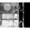 Glass Break Detector Glass Break Sensor Window Alarm System Window