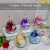 Preserved Flowers in Angel Glass dome - Fresh Enternal Flowers