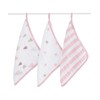 Aden + Anais Washcloth Set, Set of 3