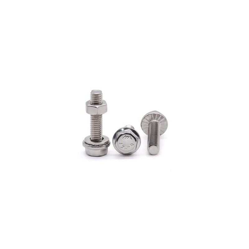 (15 Sets) M6-10 x 20mm Flanged Hex Bolt with Hex