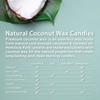 Hemlock Park Crackling Wood Wick Candle Handcrafted with Natural Coconut