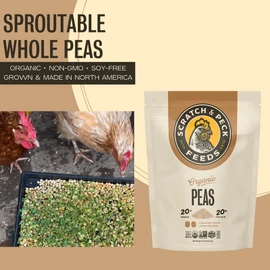 Scratch and Peck Feeds Cluckin' Good Organic Sprouting Peas Treat Supplement - 10 lbs - Soy Free, Whole Grain, Raw Sprouting Peas for Chicken or Ducks