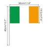 Lizzy 5pc Ireland Hand Flag (30cm x 19.5cm) with Reusable