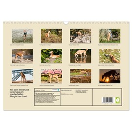 Mit dem Windhund unterwegs im zauberhaften Bergischen Land (Wandkalender 2025 DIN A3 quer), CALVENDO Monatskalender