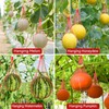 Melon Hammock Melon Nets, Watermelon Nets with Drawstring, Heavy Duty