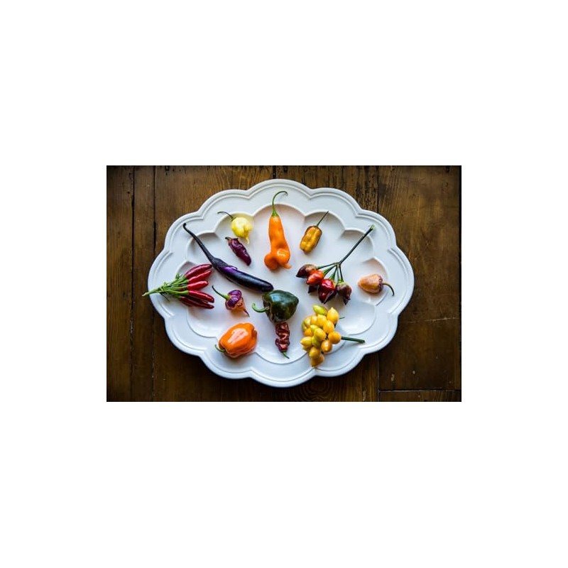 Satsuma Long Green Eggplant Asian Heirloom Premium Seeds for Planting