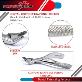 PRECISE CANADA: Dental EXTRACTING Forceps #150 1/2S PC