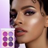 Purple Eyeshadow Palette, Pink Make-Up Palettes Shimmer Eye Shadow, Highly