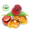 Dare RealFruit Gummies,Tropical Flavour, 350g/12.3oz., Bag, (Imported from Canada)