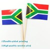 JBCD South Africa Toothpick Flag South African Mini Small Cupcake