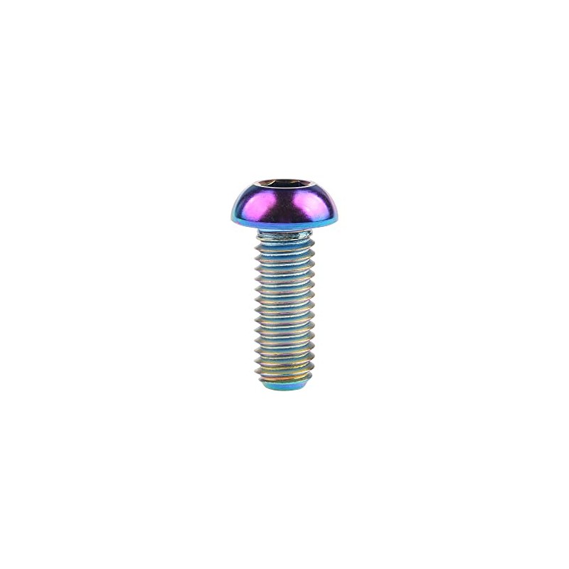Wanyifa Titanium M6 12 16 20 25 30 Button Head