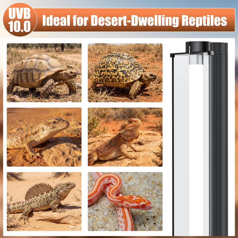 FixHaven T5 UVB 10.0 Reptile Light Fixture Combo Kit (12Inch)