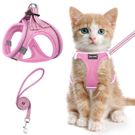 SALFSE Cat Harness and Leash for Walking Escape Proof, Adjustable Kitten Vest Harness Reflective Soft Mesh Puppy Harness for Outdoor, Comfort Fit, Easy to Control (NPink, XXS)