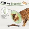 Supet Cat Cone Collar Soft Comfortable Adjustable Waterproof cat recovery