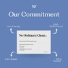 No Ordinary Clean Co Compressed Cleaning Sponge | Eco-Friendly, Biodegradable