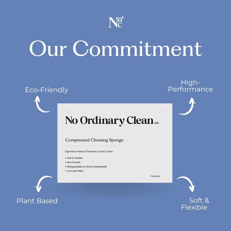 No Ordinary Clean Co Compressed Cleaning Sponge | Eco-Friendly, Biodegradable