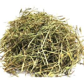 Anise Herbal Infusion Tea Anis Value Pack (90g) herb