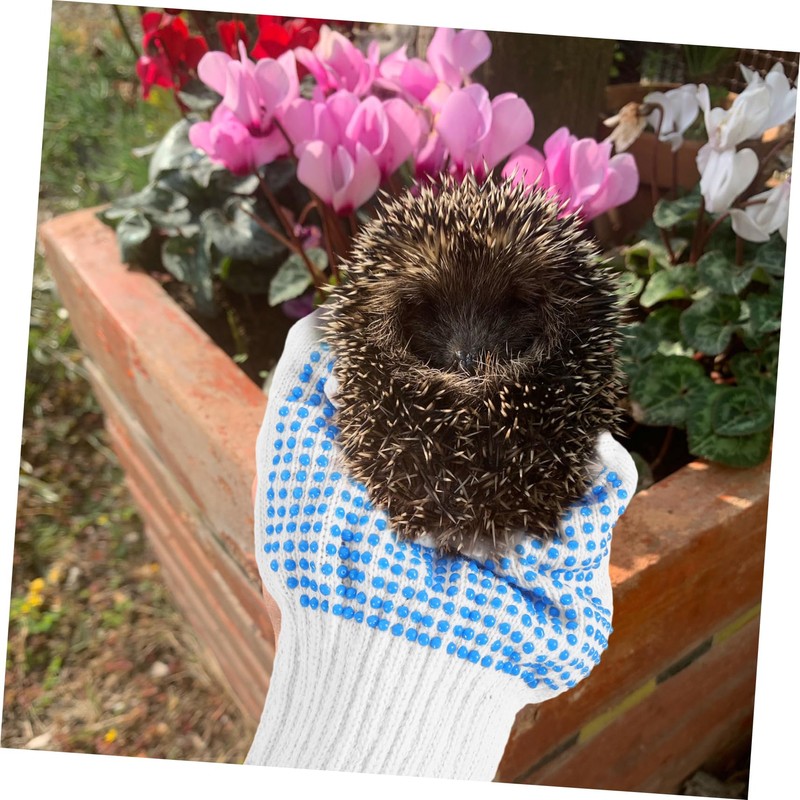 jojofuny Pet Gloves Thicken Breathable Animal Handling Safety Anti-scratch Random