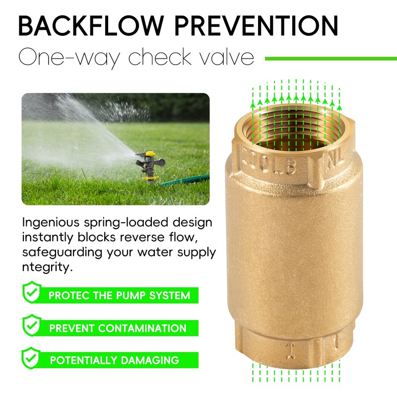 1 inch Check Valve with Backflow Preventer for Merrill CVNL100