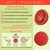 WELL ACTUALLY Liposomal Vitamin B Complex High Strength and Bioavailability