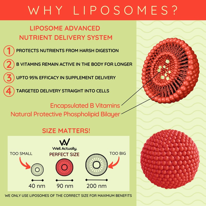 WELL ACTUALLY Liposomal Vitamin B Complex High Strength and Bioavailability