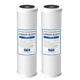 IPW Industries | 2 CC-10-CA Carbon Block Reverse Osmosis Water Filter & CCI-10CLW Filter Canister 1/4" NPT for Water Pur Company - Water Filter Cartridge