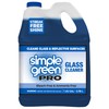 Simple Green Pro Glass Cleaner 1 Gal