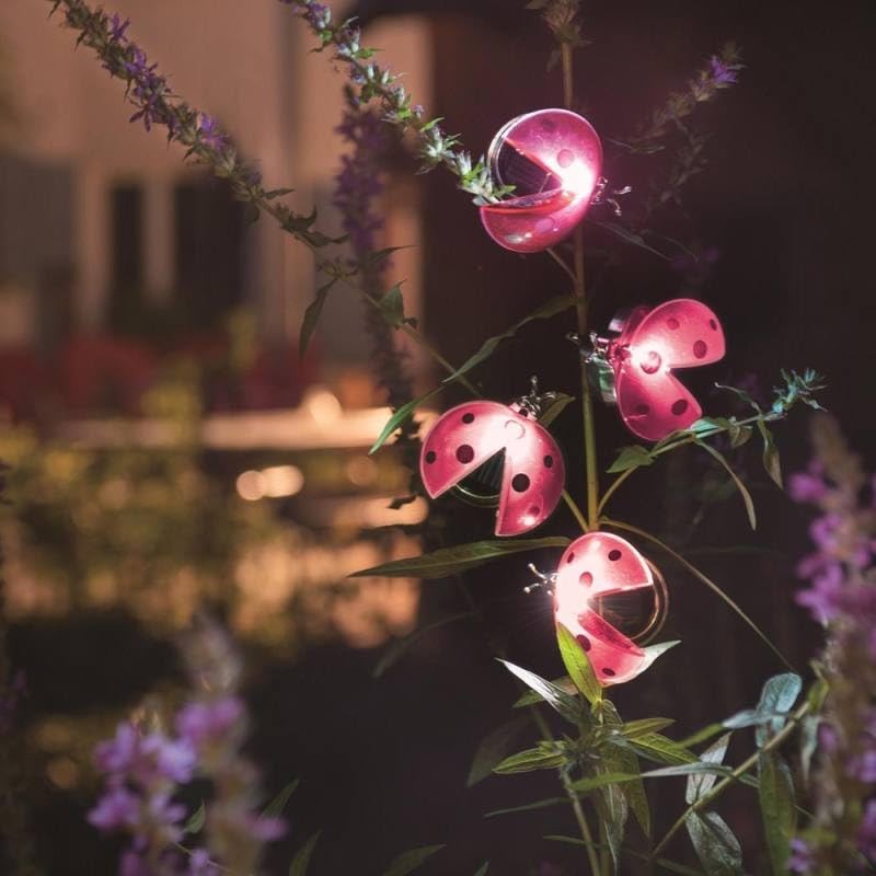 Galix Solar Ladybird Garden Decoration with Clip, LED Light, 6