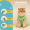 Avont Cat Recovery Suit - Kitten Onesie for Cats After