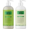 Tea Tree Shampoo and Conditioner Set - Sulfate Free Clarifying