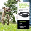 Premier Pet Dog Static Collar - 1000ft Dog Training Collar