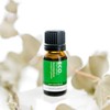 ECO. Modern Essentials Eucalyptus Pure Essential Oil, 10ml