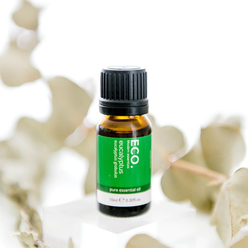 ECO. Modern Essentials Eucalyptus Pure Essential Oil, 10ml