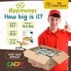 Veggie Crispy Crackers, All-Natural Individually Wrapped Whole Grain Healthy &