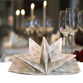 Folded Paper Napkins Luxury Linen Feel For Birthday Christmas Thanksgiving Party 3 ply 12 Pack Snow