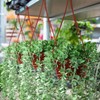 Tioncy 50 Pcs Plastic Hanging Planter Round Hanging Pot for