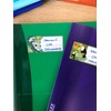 AVERY - 15 Labels for Notebook and School Supplies Fantasy