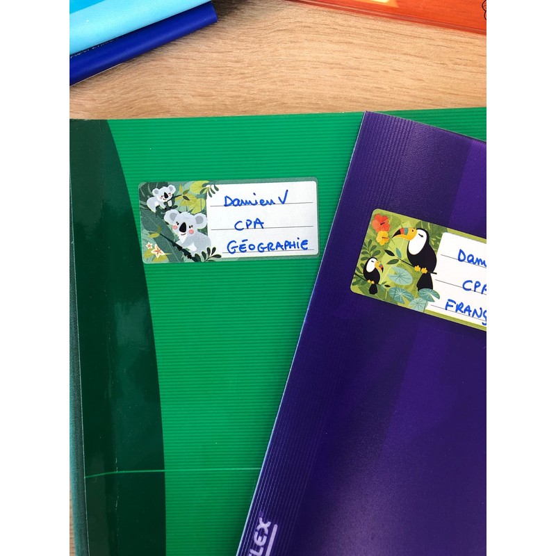 AVERY - 15 Labels for Notebook and School Supplies Fantasy